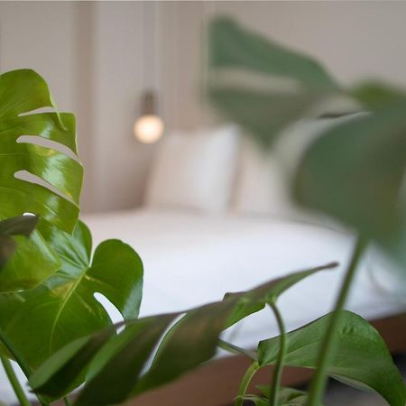 Mythodea Athens Suites Eksteriør bilde